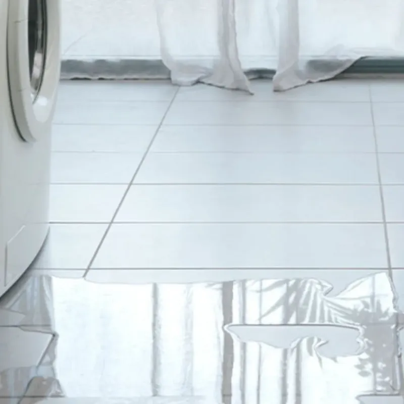 Appliance Leak Cleanup in Burbank, IL