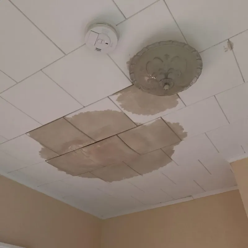 Ceiling Water Damage Repair in Burbank, IL