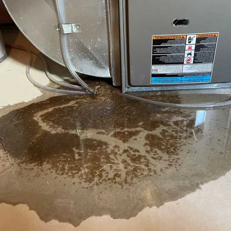 Pipe Burst and Leak Restoration in Burbank, IL
