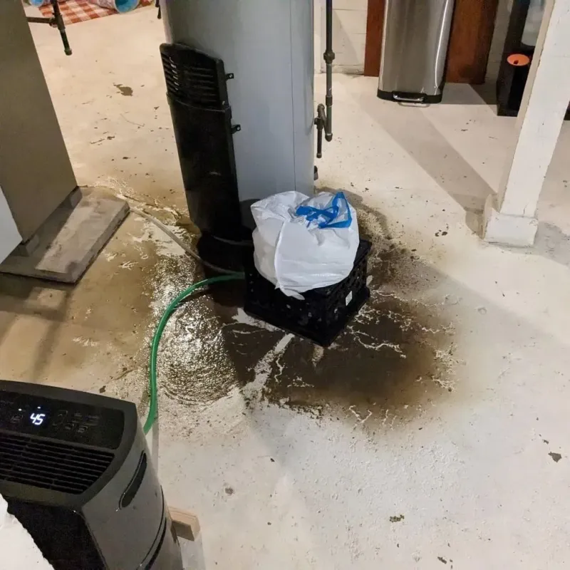 Sewage Backup Cleanup Service in Burbank, IL